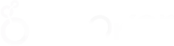 White logo for Looker